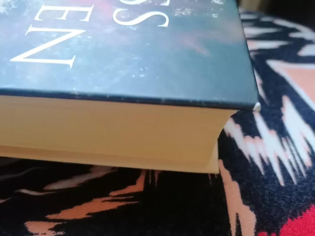 Šėlas - Tess Gerritsen, knyga 4