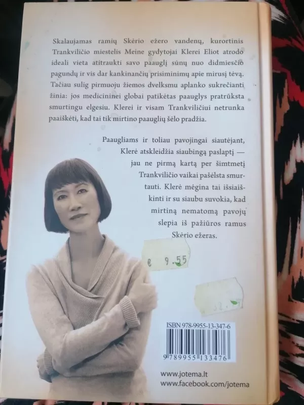 Šėlas - Tess Gerritsen, knyga 3