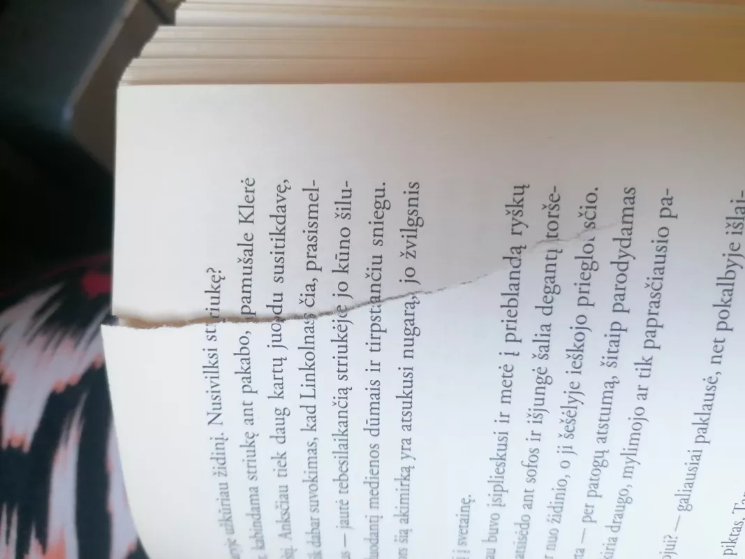 Šėlas - Tess Gerritsen, knyga 6