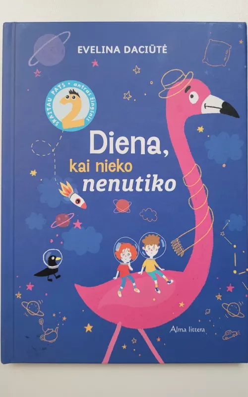 Diena, kai nieko nenutiko - Evelina Daciūtė, knyga