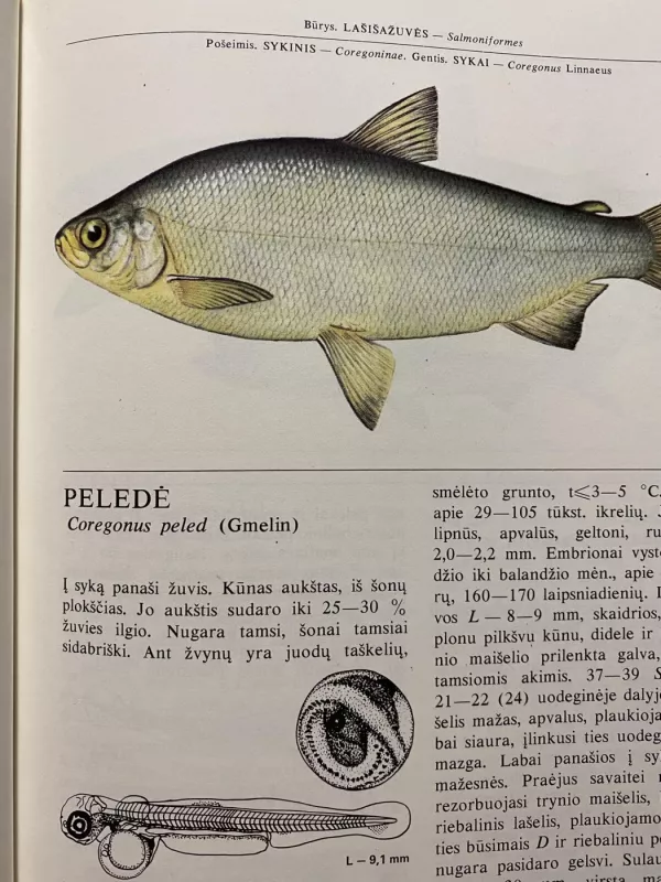 Lietuvos žuvys - Juozas Virbickas, knyga 3