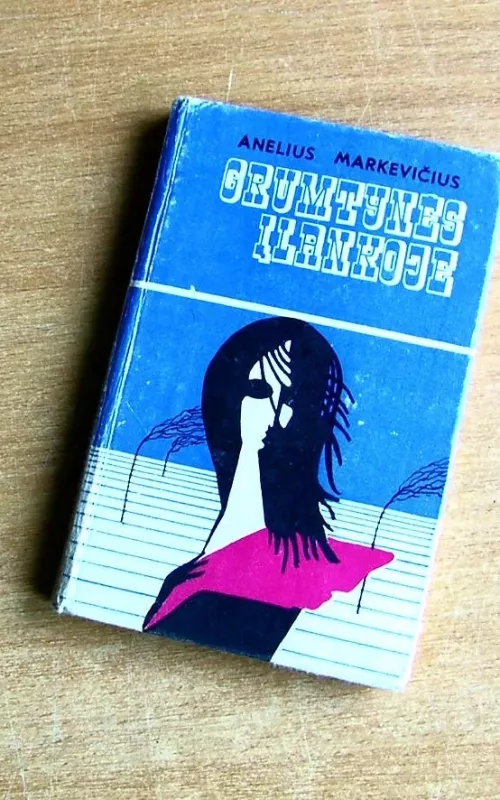 Grumtynės įlankoje - Anelius Markevičius, knyga