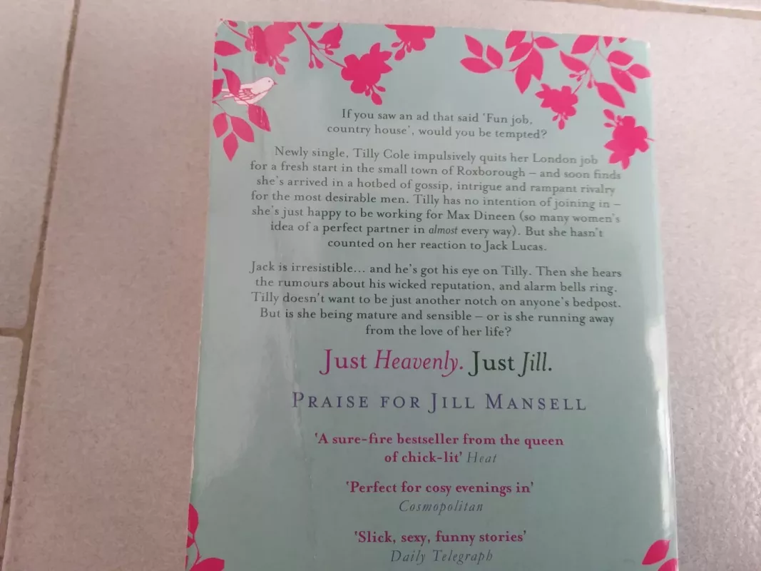 RUMOUR HAS IT - Jill Mansell, knyga 3