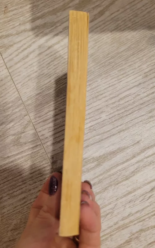 Abipus slenksčio - Rita Banienė, knyga 3