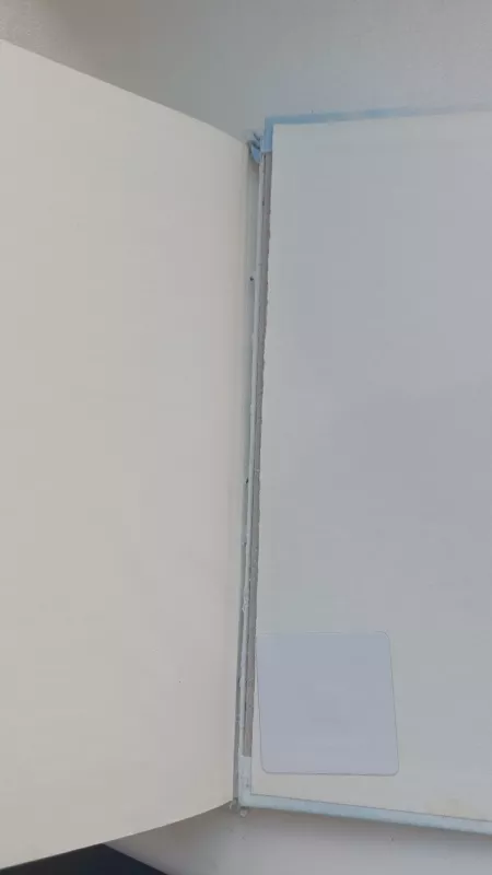 Stebuklas Anduose - N. Parrado, V.  Rause, knyga 4