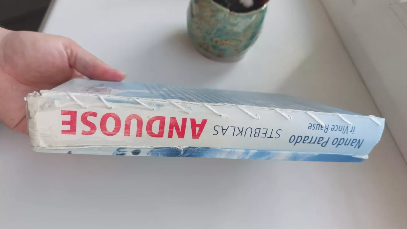 Stebuklas Anduose - N. Parrado, V.  Rause, knyga 3