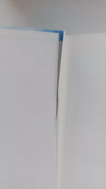 Stebuklas Anduose - N. Parrado, V.  Rause, knyga 5