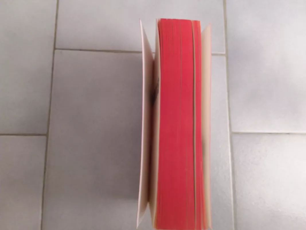 Nemesis - BRENDaN REichs, knyga 4