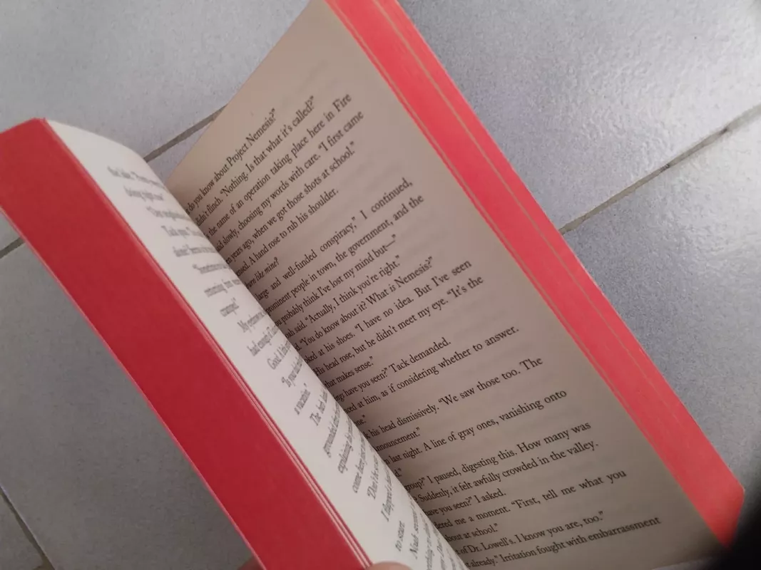 Nemesis - BRENDaN REichs, knyga 3