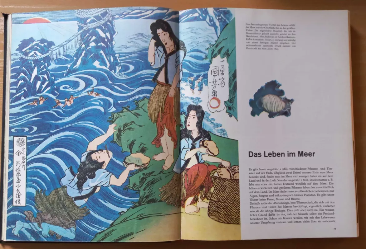 Die Meere der Welt - George Deacon, knyga 5