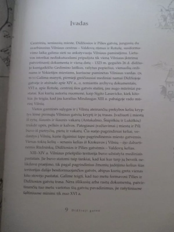 Valdovų kelias: Didžioji gatvė - Antanas Rimvydas Čaplinskas, knyga 3