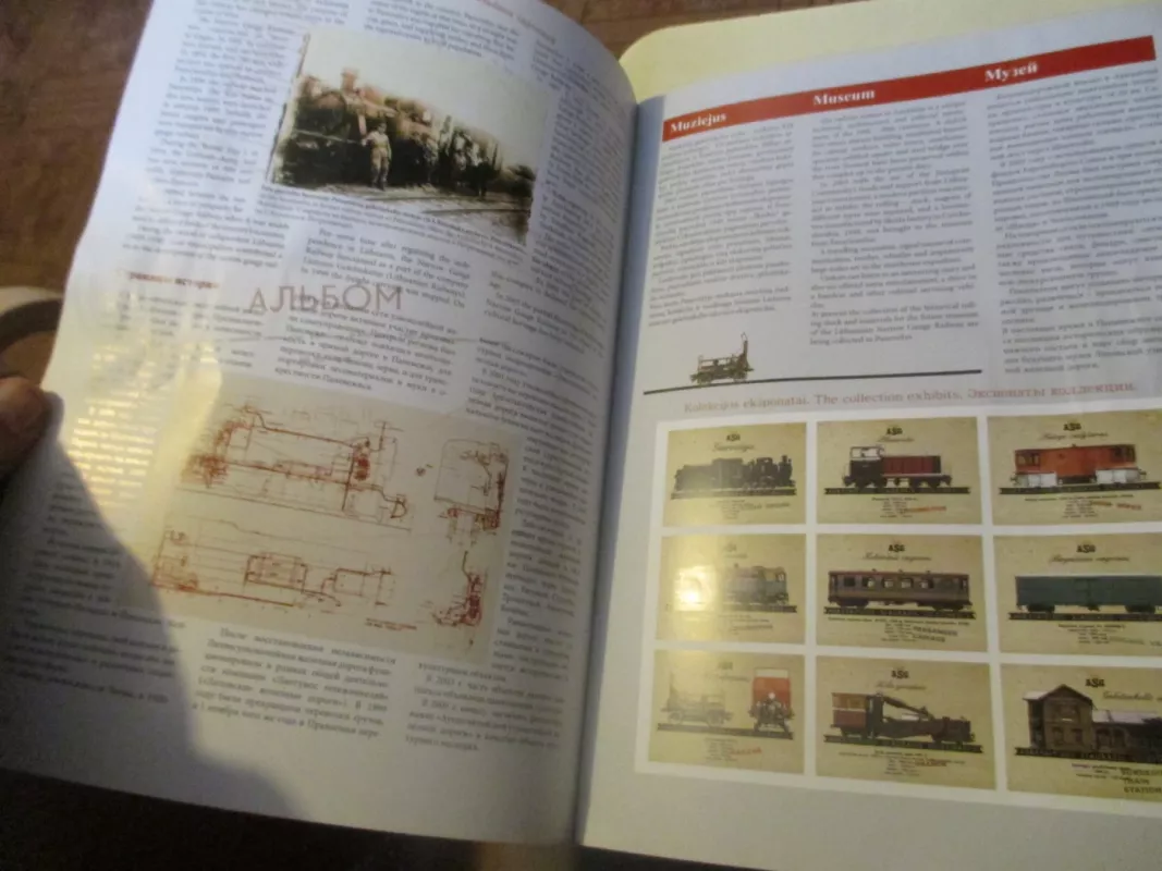 Siaurukas - Virginija Januševičienė, knyga 6