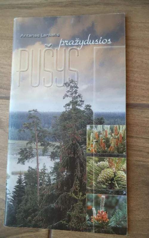 Pražydusios pušys - Antanas Lankelis, knyga 2