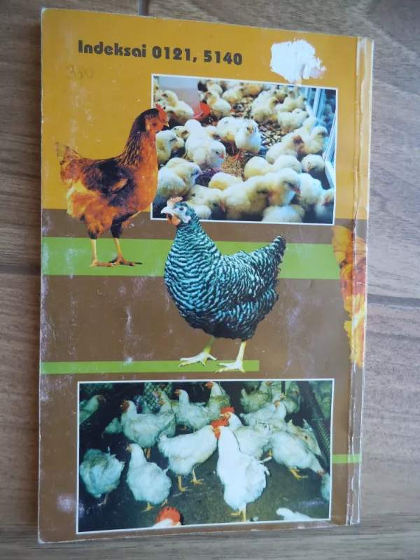 Naminiai paukščiai - Jonas Skonsmanas, knyga 3