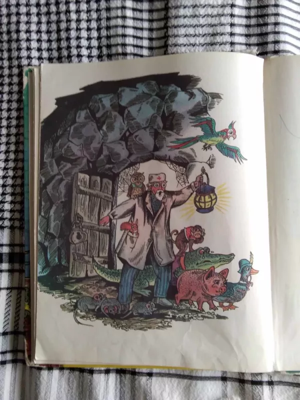 Daktaras Aiskauda - Kornejus Čiukovskis, knyga 5