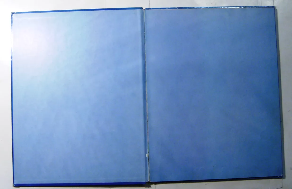 Piteris Penas - Autorių Kolektyvas, knyga 4