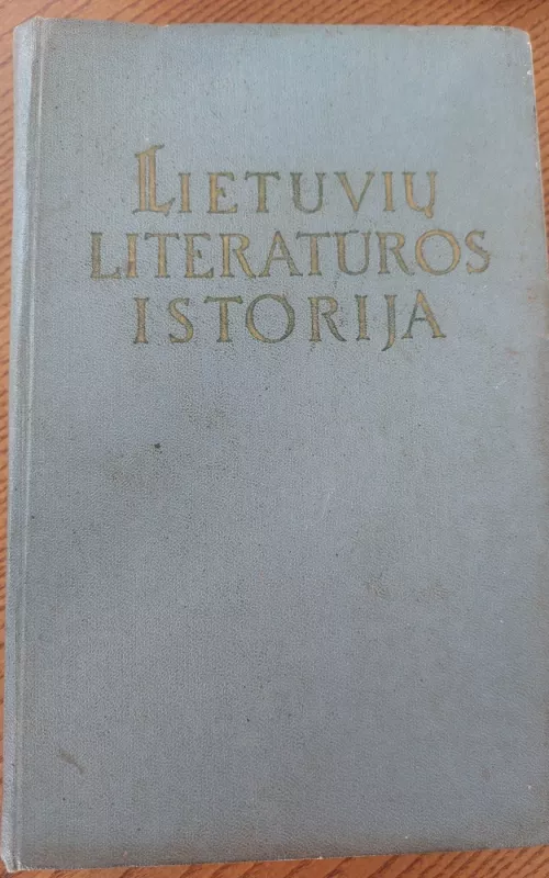 Lietuvių literatūros istorija (I tomas) - Autorių Kolektyvas, knyga