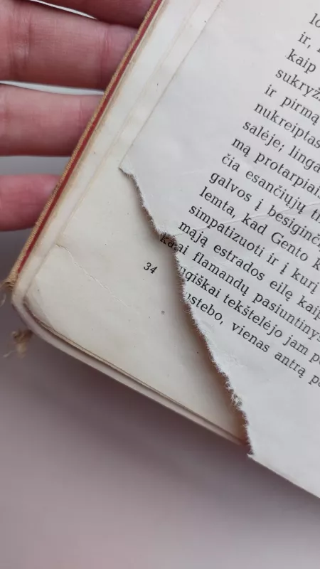 Paryžiaus katedra - Victor Hugo, knyga 4