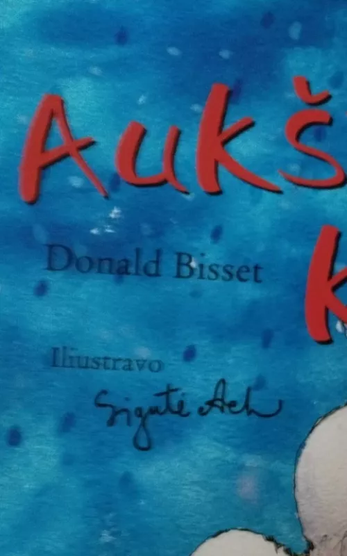 Aukštyn kojom 1 - Donald Bisset, knyga 2