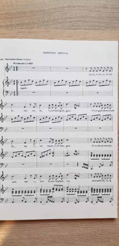 Gimtinės aidai - Benjaminas Gorbulskis, knyga 4