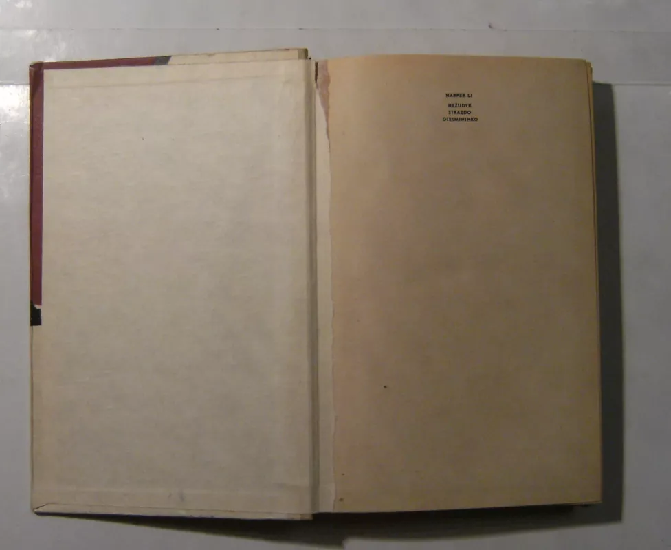 Nežudyk strazdo giesmininko - Autorių Kolektyvas, knyga 4