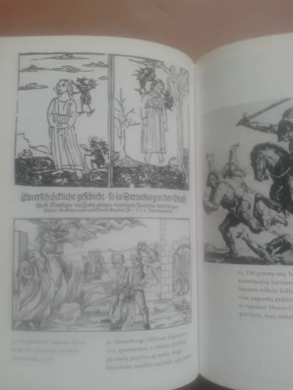 Velnio vardu: šiek tiek kitokia raganų ir jų persekiojimo istorija - Dieter Breuers, knyga 5