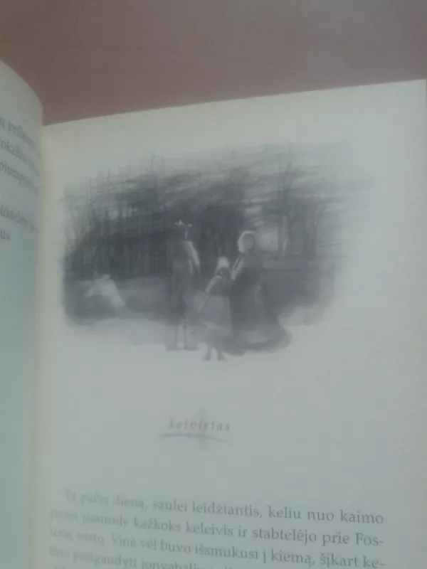 Amžinieji Takiai - Babbitt Natalie, knyga 4