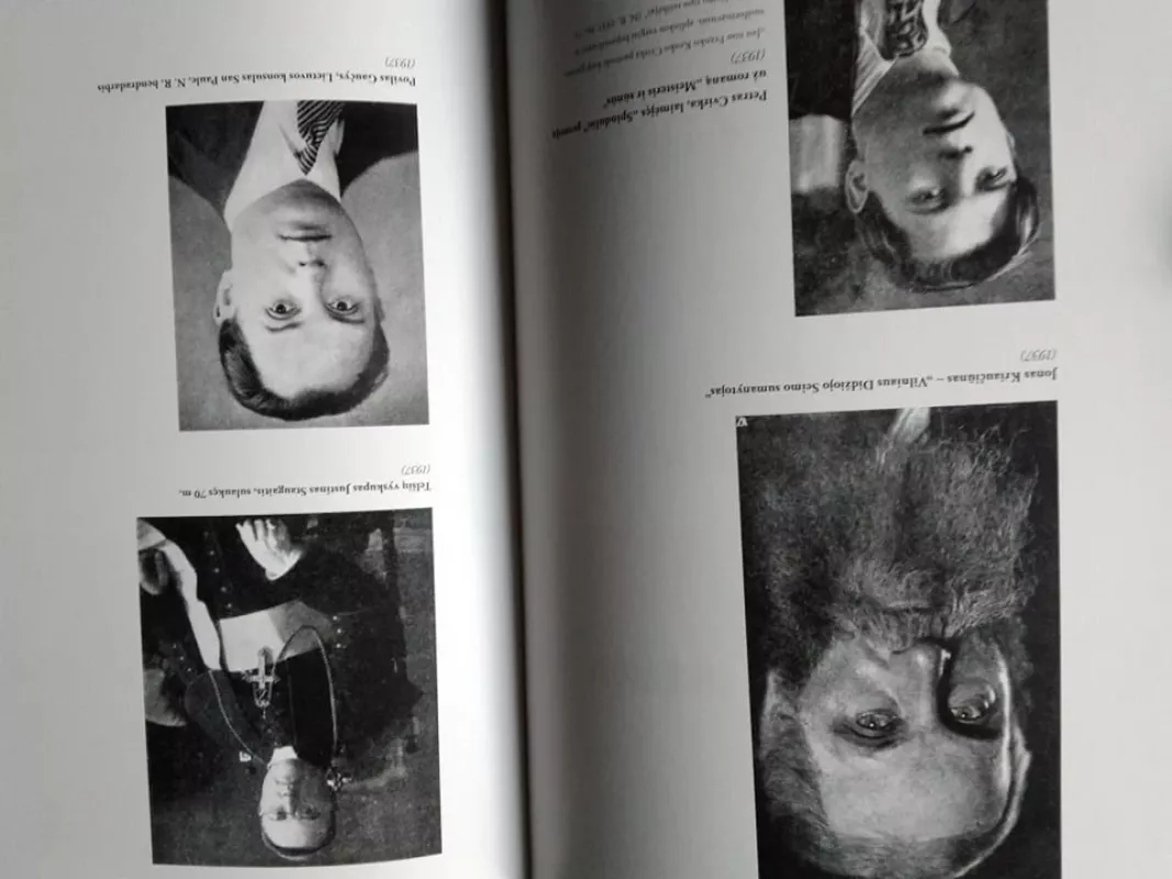 Naujosios Romuvos fotografija: įvaizdis, menas, reklama (2 tomai) - Andrius Vaišnys, knyga 4