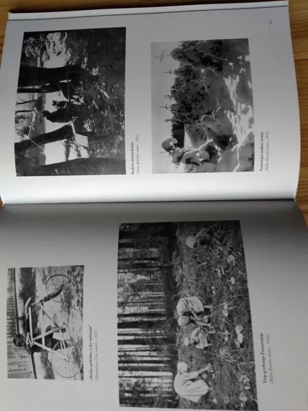 Naujosios Romuvos fotografija: įvaizdis, menas, reklama (2 tomai) - Andrius Vaišnys, knyga 5