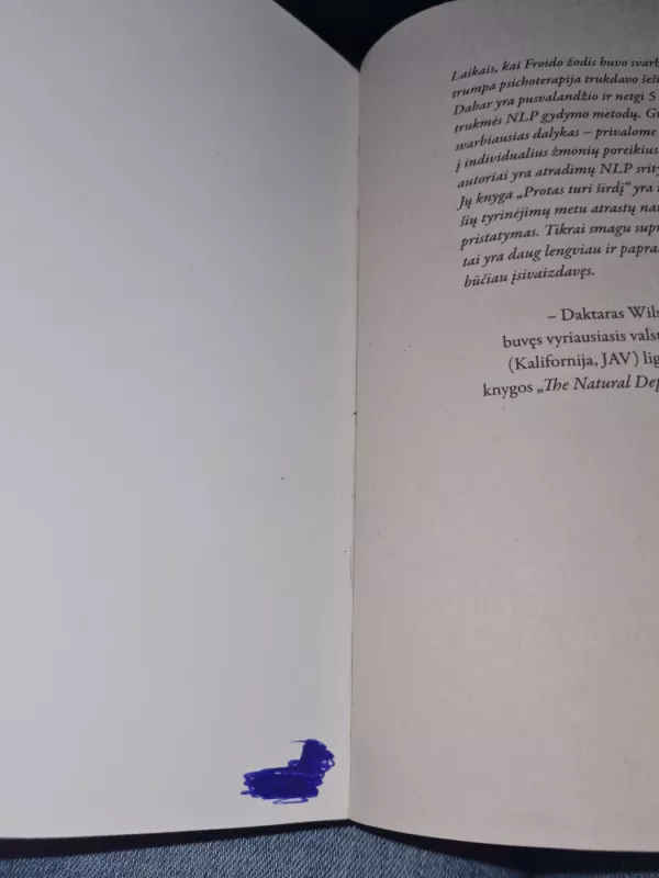 Protas turi širdį - Connirae ir Steve Andreas, knyga 3