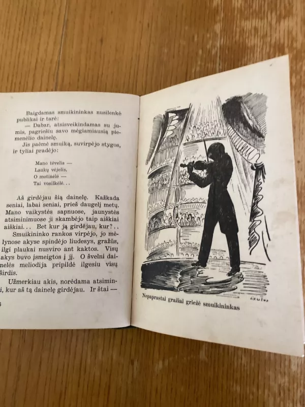 Naktis ant Nemuno - Vyt. Tamulaitis, knyga 5