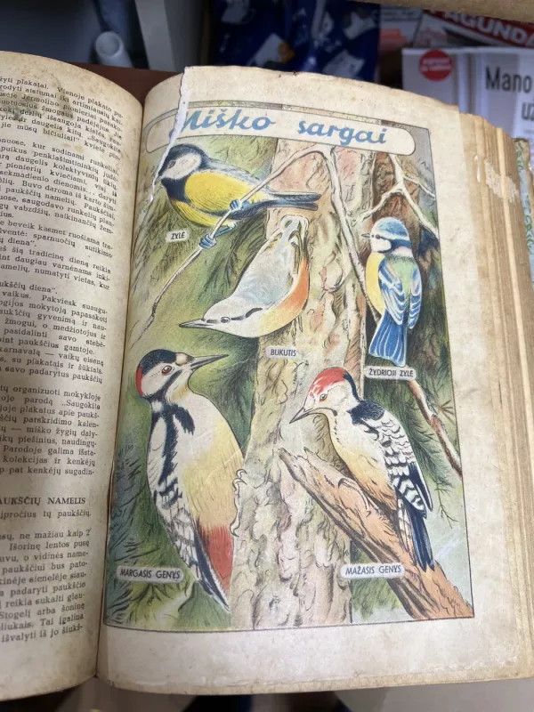 Pionierių vadovo knyga 1948 - Autorių Kolektyvas, knyga 5