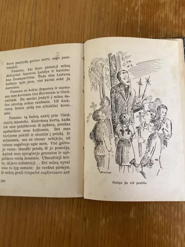 Naktis ant Nemuno - Vyt. Tamulaitis, knyga 4