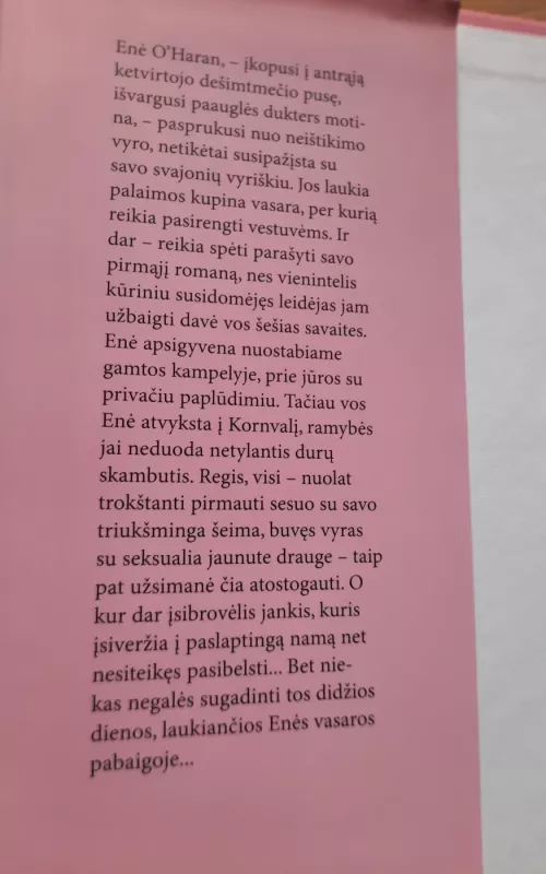 Vestuvių diena - Catherine Alliott, knyga 2