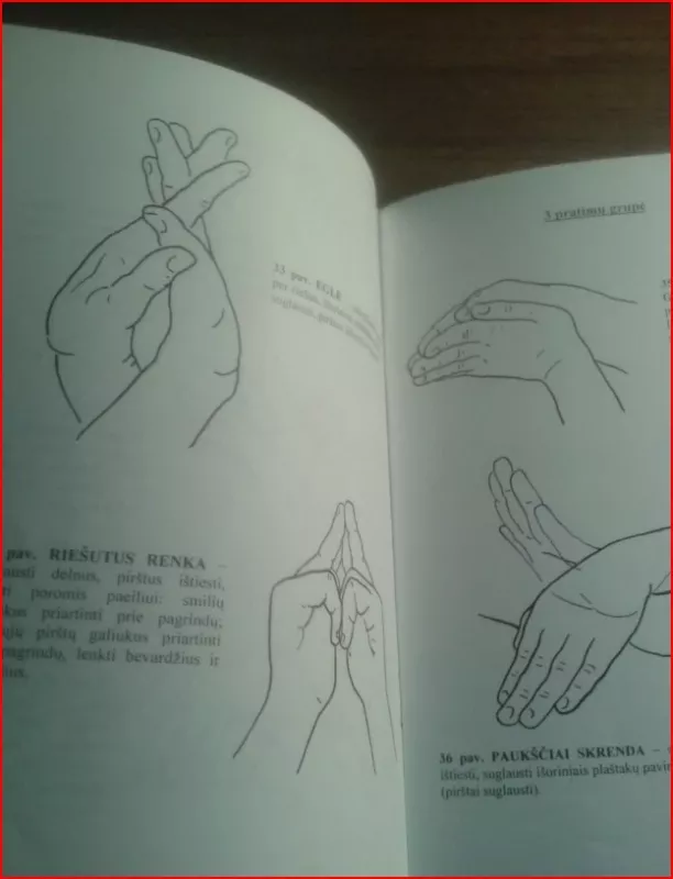 Žaidimai rankų pirštams mankštinti - Gražina Musteikienė, knyga 5