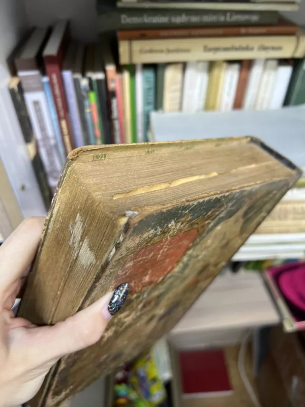 Pionierių vadovo knyga 1948 - Autorių Kolektyvas, knyga 3