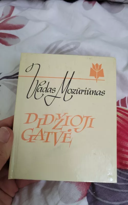 Didžioji gatvė - Vladas Mozūriūnas, knyga