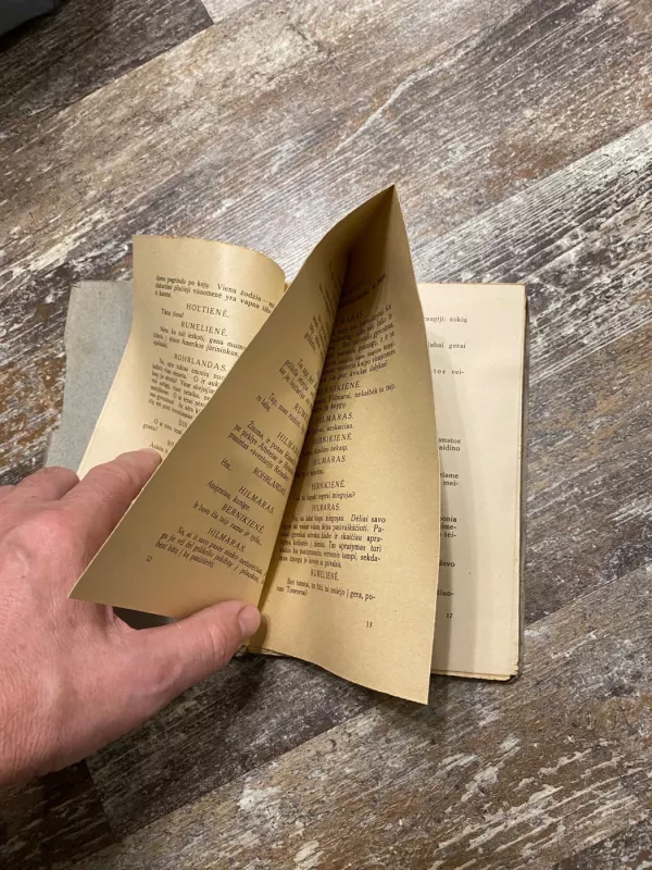 Visuomenės šulai. Keturių veiksmų drama - Indrikas Ibsenas, knyga 3