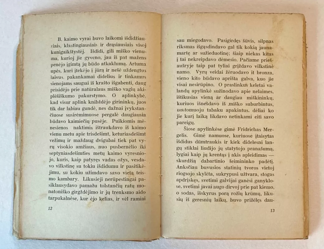 Žydų medis: kalnuotosios Vestfalijos buities paveikslas - Autorių Kolektyvas, knyga 5