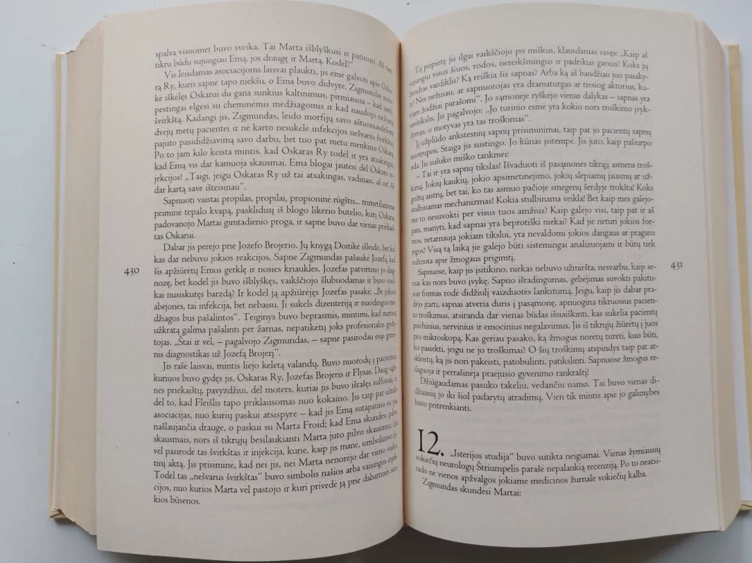 Proto aistros - Irving Stone, knyga 4