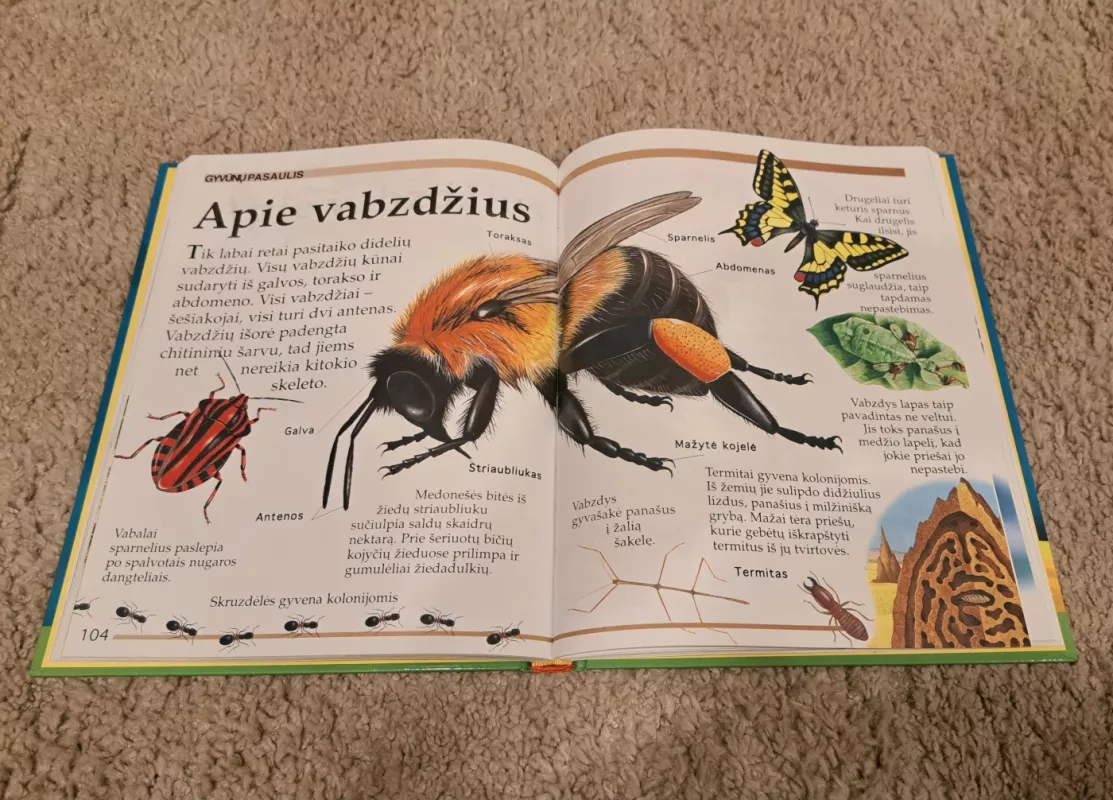 Kur kada kas. Pirmoji enciklopedija - Angela Wilkes, knyga 3