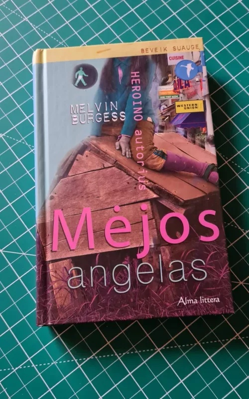 Mėjos angelas - Melvin Burgess, knyga 2