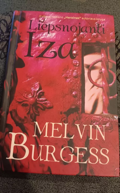 Liepsnojanti Iza - Melvin Burgess, knyga