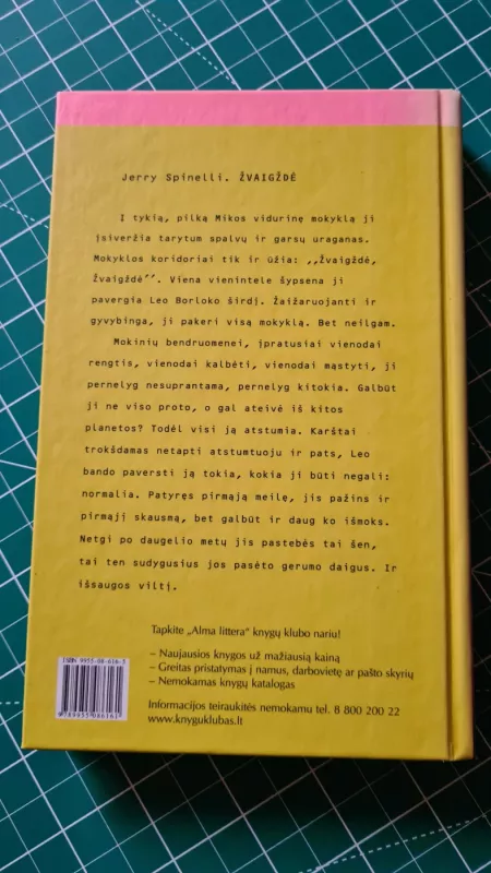 Žvaigždė - Jerry Spinelli, knyga 3