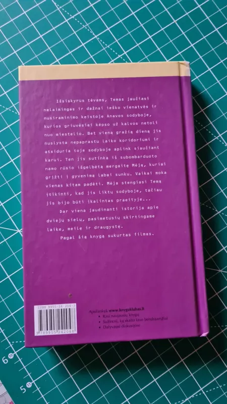 Mėjos angelas - Melvin Burgess, knyga 3