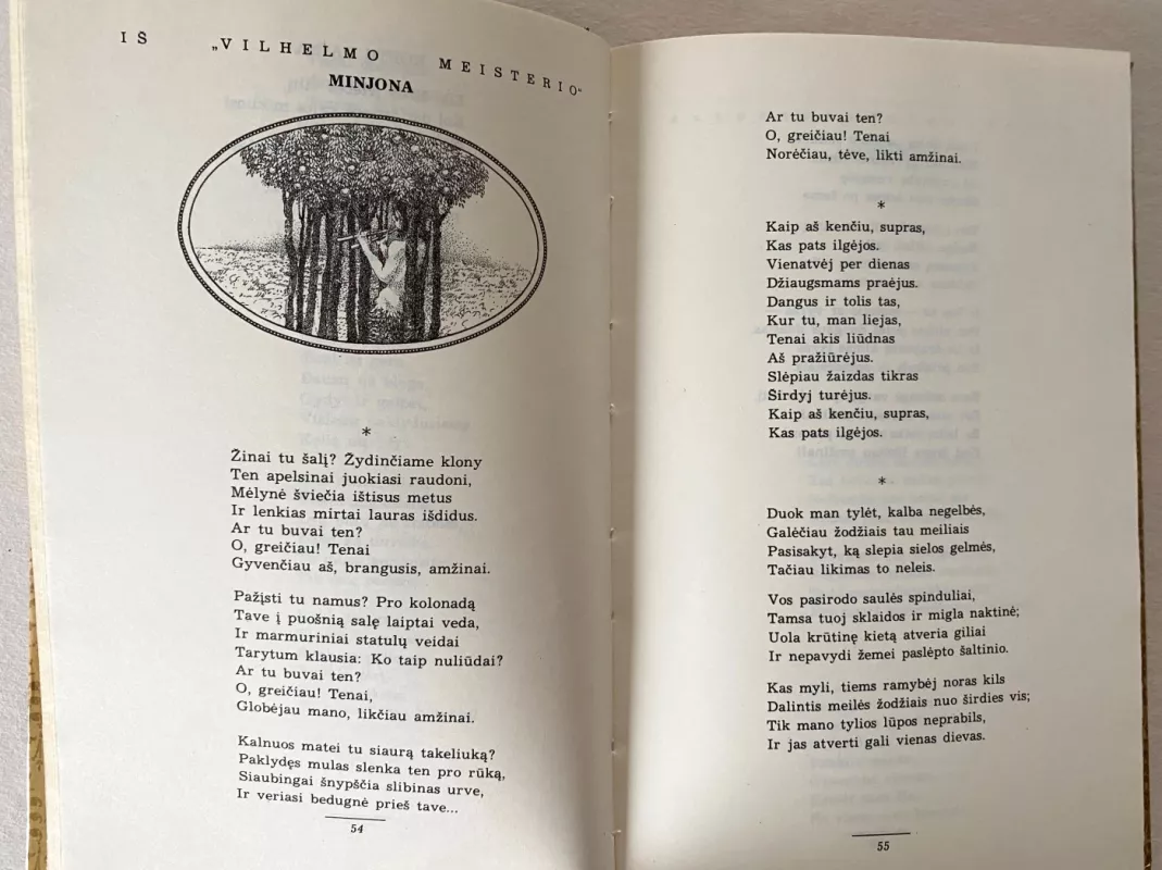 Poezija - Johanas Volfgangas Gėtė, knyga 6