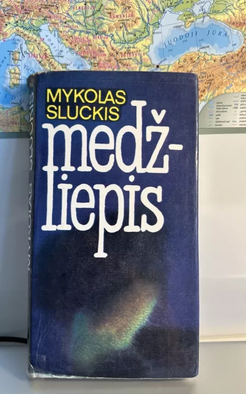 Medžliepis - Mykolas Sluckis, knyga