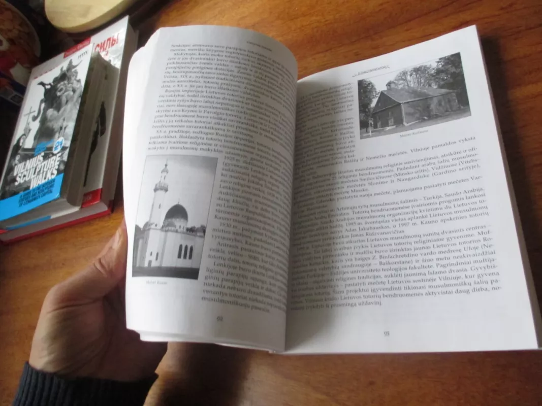 Lietuvos tautinės mažumos. Kultūros paveldas - V. Čekmonas, knyga 6