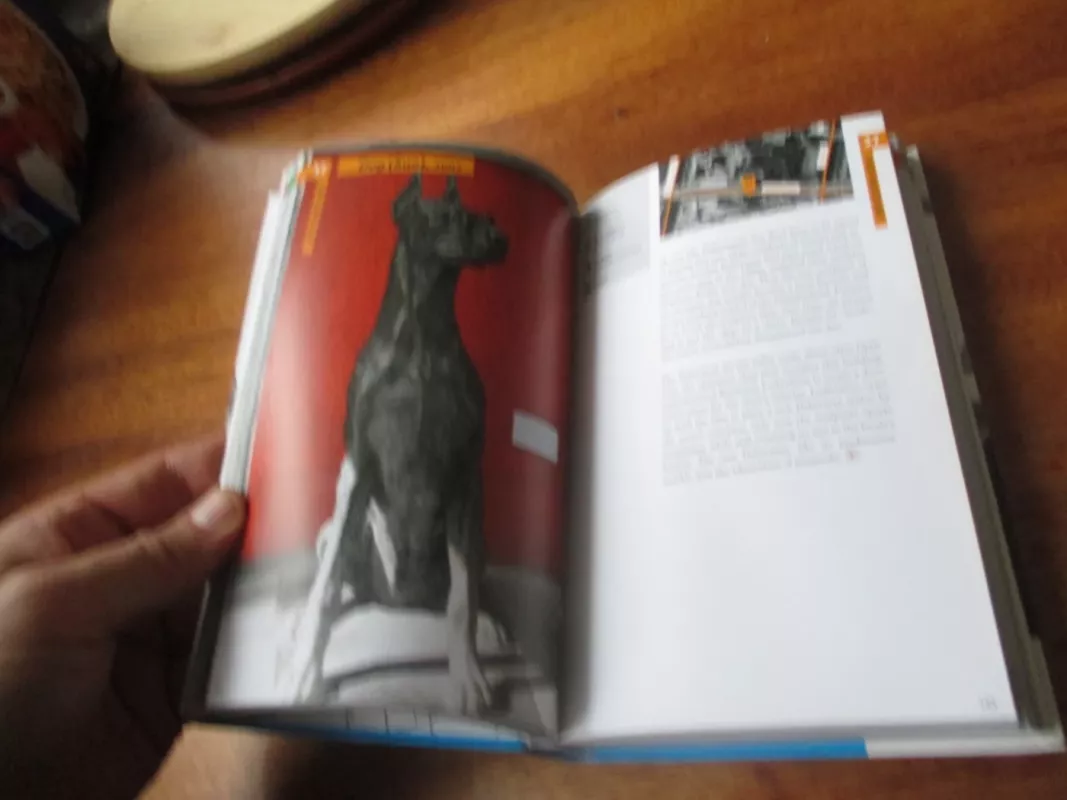 Vilnius sculpture walks. Cultural guide to the outdoor statues and sculpture of Lithuania - Autorių Kolektyvas, knyga 4