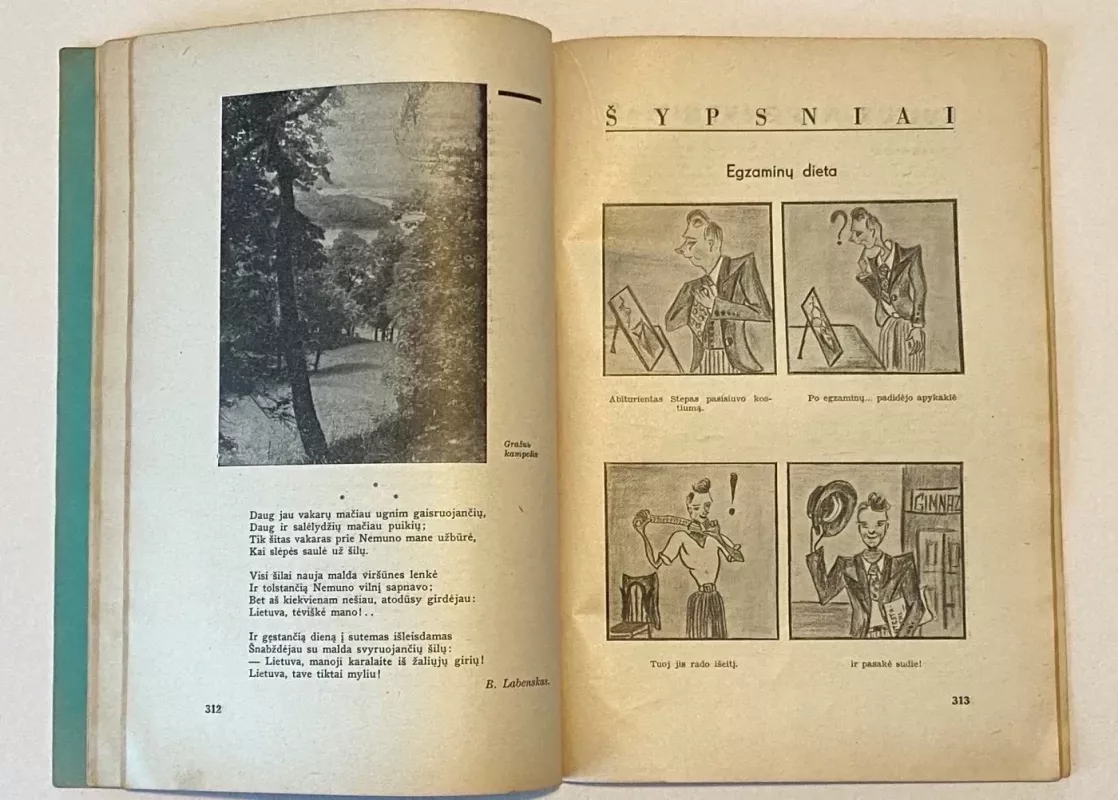 Jaunoji Lietuva žurnalas 1936m. Nr.5 - Autorių Kolektyvas, knyga 4